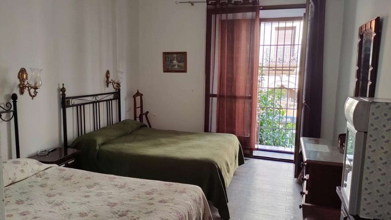 Colon Antequera