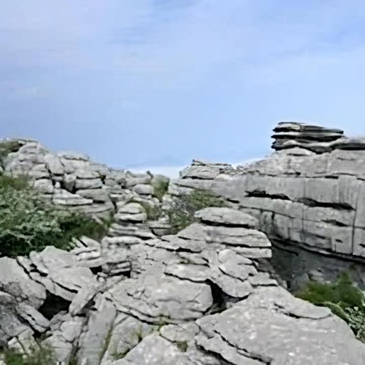 Pensjonat Colon *